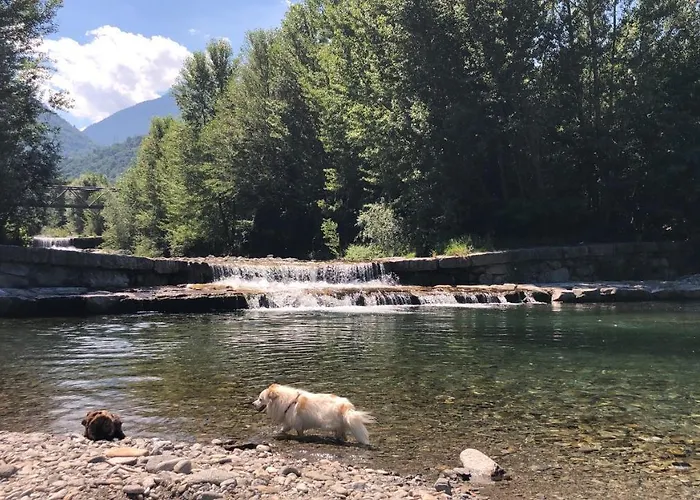 Paradiso Della Bici